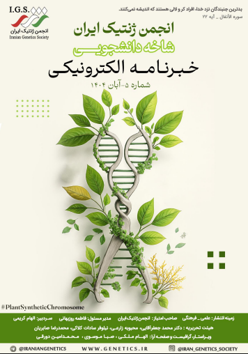 خبرنامه آبان ماه
